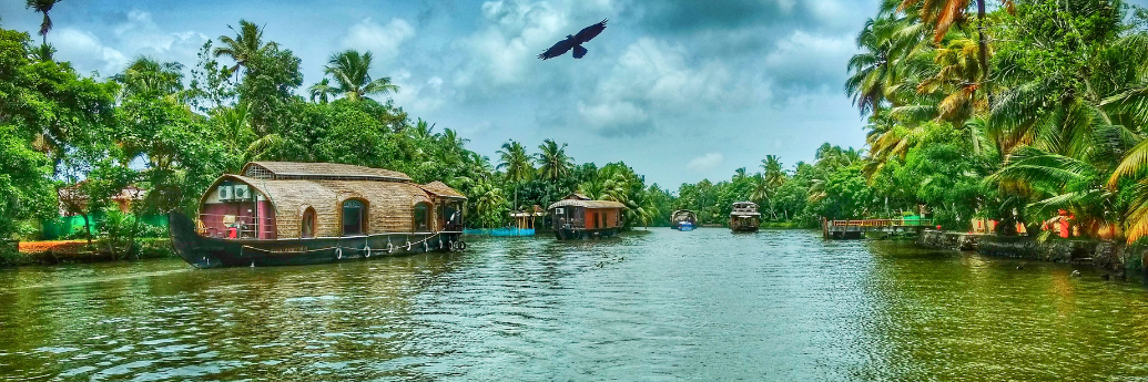 Kerala – Ayurveda & Serenity